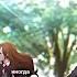 Иногда я думаю только о тебе Shorts Videoshorts Anime