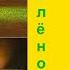 Цыпленок Пи на немецком русском Реакция