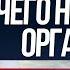 Тяга к сладкому Чего не хватает нашему организму Зависимость от сладкого