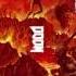 DOOM 2016 OST Message From Dr Samuel Hayden Title Drop