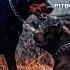 Doberman Vs Pitbull Vs German Shepherd Dog Breed Showdown Bestdogbreeds Shorts Animals Fight