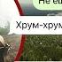 мой друг попал на жуткий остров