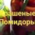 Квашенные помидоры рекомендацииютуб квашенныепомидоры помидоры консервацияназиму