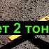 1 Ложку и лейку воды земля как новая посыпте этим землю осенью для обильного урожая всего