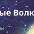 Стальные волки 3 Валерий Увалов