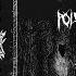 Black Sun Cult