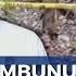Pembunuhan Bocah Kakak Adik Di Lampung Masih Misteri Polisi Kurang Alat Bukti