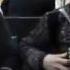 Валерий и Дмитрий Голубевы Шёл со службы казак молодой