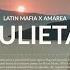 LATIN MAFIA Julieta Amarea Remix