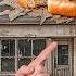 I Try Saving A Struggling Donut Shop From Going Bankrupt