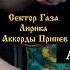 Shorts лирика секторгаза аккорды нагитаре