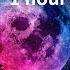 Fall Out Boy Light Em Up 1 Hour