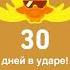 Помогите помогите мем рофл Duolingo дуолинго 30дней