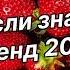 Танцуй если знаешь этот тренд 2024 года