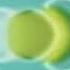 Zoopals In G Major 1973