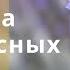 Базовая генетика медоносных пчел для пчеловодов Джон Чемберс