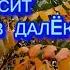 ОСЕНЬ УНОСИТ В ДАЛЁКУЮ ДАЛЬ ValeriyshiryaevБлагодарю Валерия Ширяева за вдохновение Елена Жукова