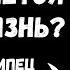 Влияние Окружающего Мира на Человека Жизнь Человека Артур Пилипец Как Меняется Наша Жизнь