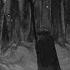 Paysage D Hiver Im Wald Full Album Ambient Atmospheric Black Metal