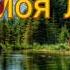 Кавсарат Магомедова Моя любовь Новинка Аварские песни 2022 Года