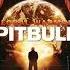 Pitbull Ft Christina Aguilera Feel This Moment Slowed Reverb