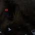 Digitone Jam 2 I M At Home In Lockdown With My Cat While It Rains In A City That Never Rains