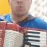 Спокойной ночи аккордеонист гармония песня баян слушать Music Accordion