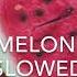 Harry Styles Watermelon Sugar SLOWED