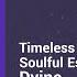 Dvine Timeless Serenity Soulful Escape Hopeful Lounge Soft House