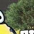 ТЕСТ НА ГЕЯ В GTA V СМОЖЕМ ЛИ МЫ НАЙТИ ВСЕ ДЫРКИ ГОНКИ В GTA 5 Online