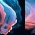 Dave Raval Lucid Tides Extended Mix