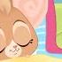 Let S Meet Sunny And Baby Mouse Vida The Vet Cartoons For