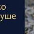 Несколько мыслей о душе Чехов Том2 С муз в исп Джахангира Абдуллаева