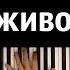 Lilo Болезненно караоке PIANO KARAOKE ᴴᴰ НОТЫ MIDI А вы не знаете почему живот болит