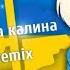 Ой у лузі червона калина KR3NK Drill Remix
