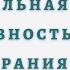 На пике Как поддерживать максимальную эффективность без выгорания Брэд Сталберг