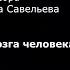 Лекция С В Савельева Отбор и эволюция мозга