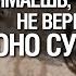 Когда слушаешь хейтеров Булгакова понимаешь что Шарикова не вернули в собаку Олег Хомяк