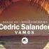 Vamos Cedric Salander Darles FLow Dub MIx