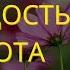 Аффирмация на МОЛОДОСТЬ И КРАСОТУ СЛУШАЙ ДО КОНЦА И ОБНОВЛЯЙСЯ