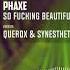 Phaxe So Fucking Beautiful Querox Synesthetic Remix