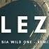 Flo Rida Sia Wild One ELEZO Original Remix Official Vidéo