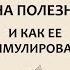 Алексей Москалев Аутофагия Почему она полезна и как ее стимулировать