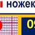 Важнейшие ЭКГ синдромы полные блокады ножек пучка Гиса