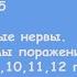 Общая неврология Лекция 5 Черепные нервы Синдромы поражения ЧН 5 7 8 9 10 11 12 пары