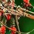 СНАЙПЕР АДЕПТУС МЕХАНИКУС СУДОНИАНСКИЙ СКАТРОС SYDONIAN SKATROS НОВИНКА WARHAMMER 40000 40k