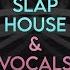 Sample Tools By Cr2 Slap House And Vocals Sample Pack