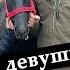Папа подари мне лошадь Письмо девочки своему умершему отцу