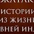 БУДДИЙСКИЕ ДЖАТАКИ ИСТОРИИ ИЗ ЖИЗНИ ДРЕВНЕЙ ИНДИИ