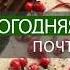 НОВОГОДНЯЯ ПОЧТА Промо ролик видео МК Надежды Карманцевой